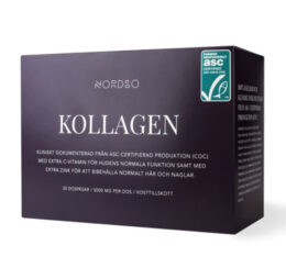 Kollagen 30 x 5,1 g