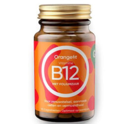 Vitamine B12 with Folic Acid 90 pastilek