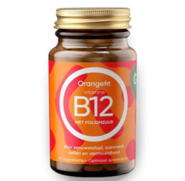 Vitamine B12 with Folic Acid 90 pastilek