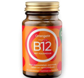 Vitamine B12 with Folic Acid 90 pastilek